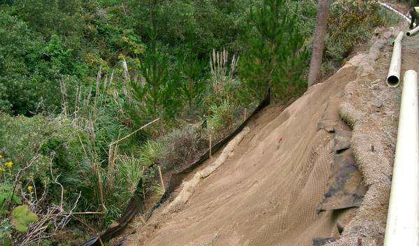 Design and implementation of erosion control measures for project installation.
